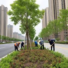 2026世界杯官网 孟州城市绿化工程施工及验收规范最新