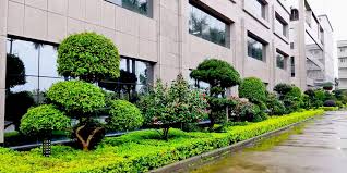 世界杯官网 市政绿化工程雨污水管施工全过程