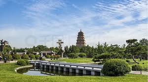 2026世界杯官网 台州市政绿化公司